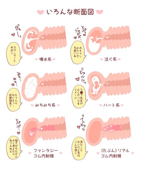 【中出し断面図】セックスしてビュービューと完全に中出し射精。